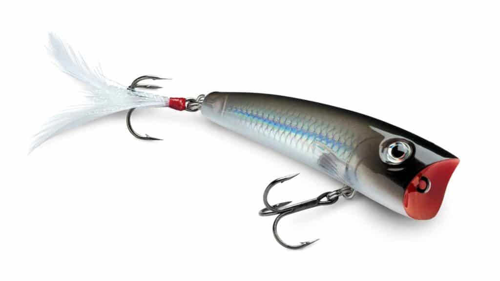 Topwater Baits