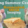 Finding Summer Crappies