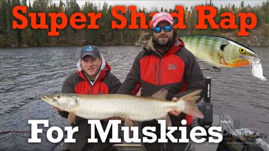 Shad Rap for Musky