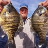 Bluegills and Sunfish