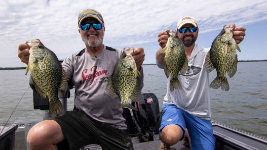 Crappie Lures