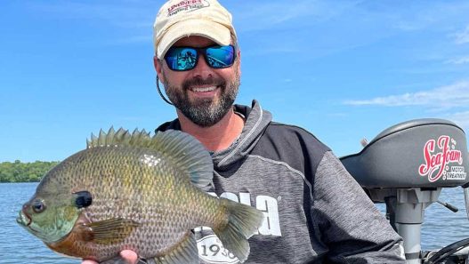 quality bluegill initiative
