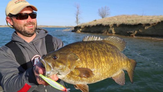 top presentations for Early Season