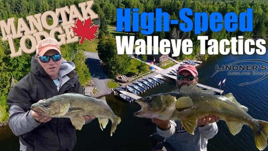 Walleye Tactics