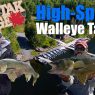 Walleye Tactics