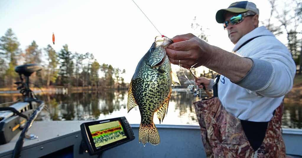 Catching Crappie on LIVE minnows  How to fish with LIVE minnows for Crappie  