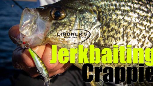 Jerkbaiting Crappie