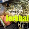 Jerkbaiting Crappie