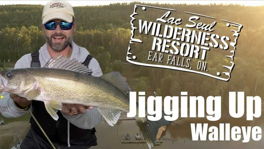 Jigging up walleye