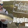 Jigging up walleye