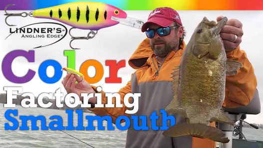 Color Factoring Smallmouth Bass