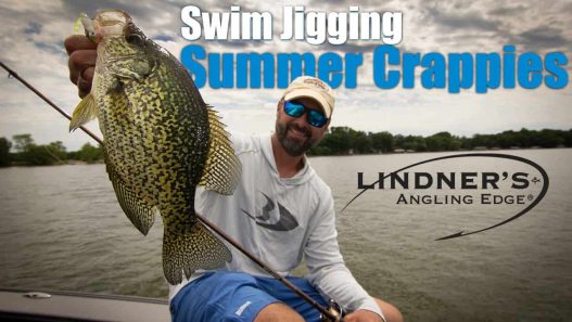 Swim Jigging Summer Crappies