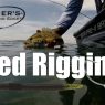 Ned Rigging Bass