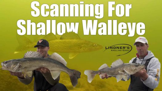 Shallow Walleye