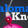 The Palomar Knot
