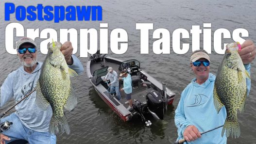 Post-Spawn Crappie