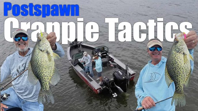 Post-Spawn Crappie
