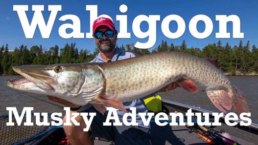 Wabigoon Musky Adventures