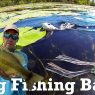 Frog Fishing Bass