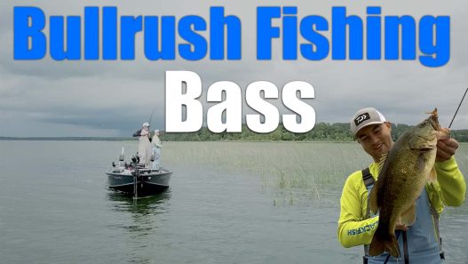 Bullrush bass fishing