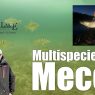 Leech Lake Multispecies Mecca