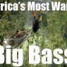 Big Bass 