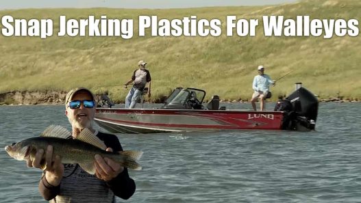 Snap Jerking Plastics