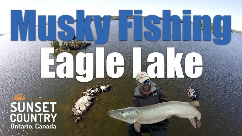 Eagle Lake Musky