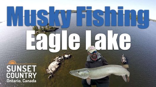 Chasing Giant Muskies