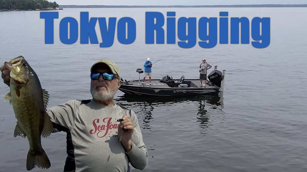 Tokyo Rigging