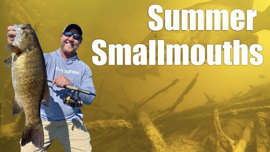 Summer Smallmouths