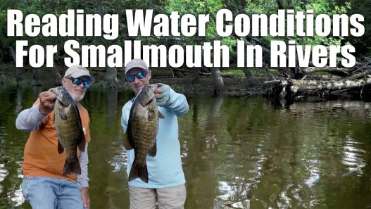 Reading Water Conditions