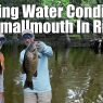 Reading Water Conditions