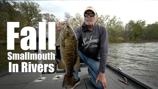 Fall Smallmouth Bass River