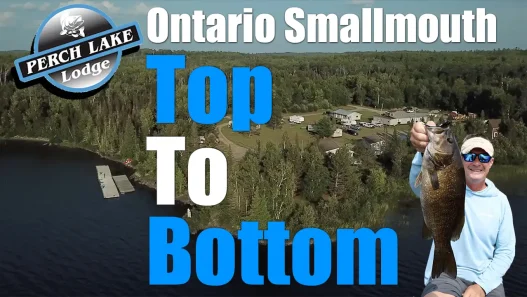Ontario Smallmouth