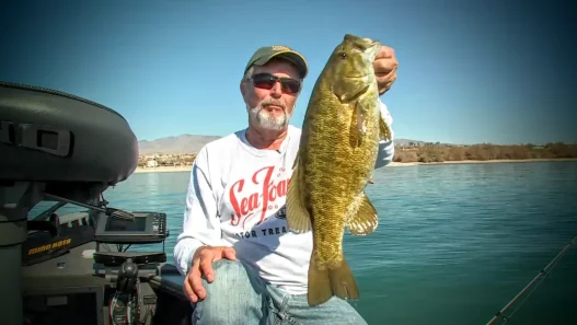 Finesse Fishing Smallmouth Bass
