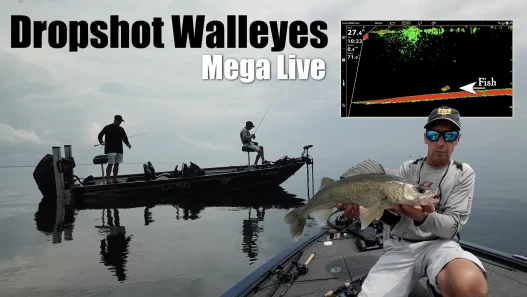 Dropshot Walleyes