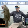 Post Spawn Smallmouth