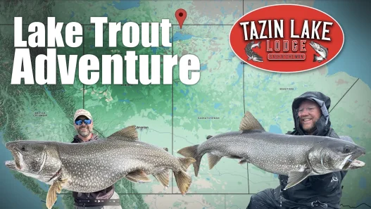 Tazin Lake Trout