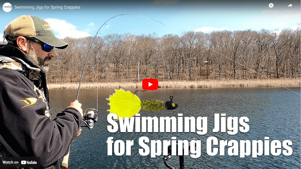 swimming Jigs