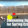 swimming Jigs