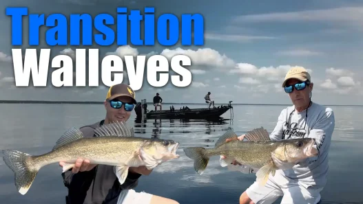 Targeting Transitional Walleyes