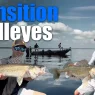 Targeting Transitional Walleyes