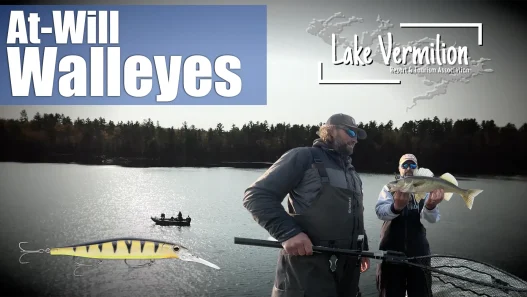 Jerkbaits for Walleyes on Lake Vermilion