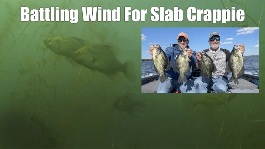 Windy Crappie Fishing