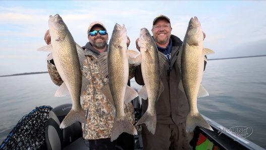 fall walleye jigging