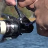 Daiwa-Regal-LT-Spinning-Reel-Line