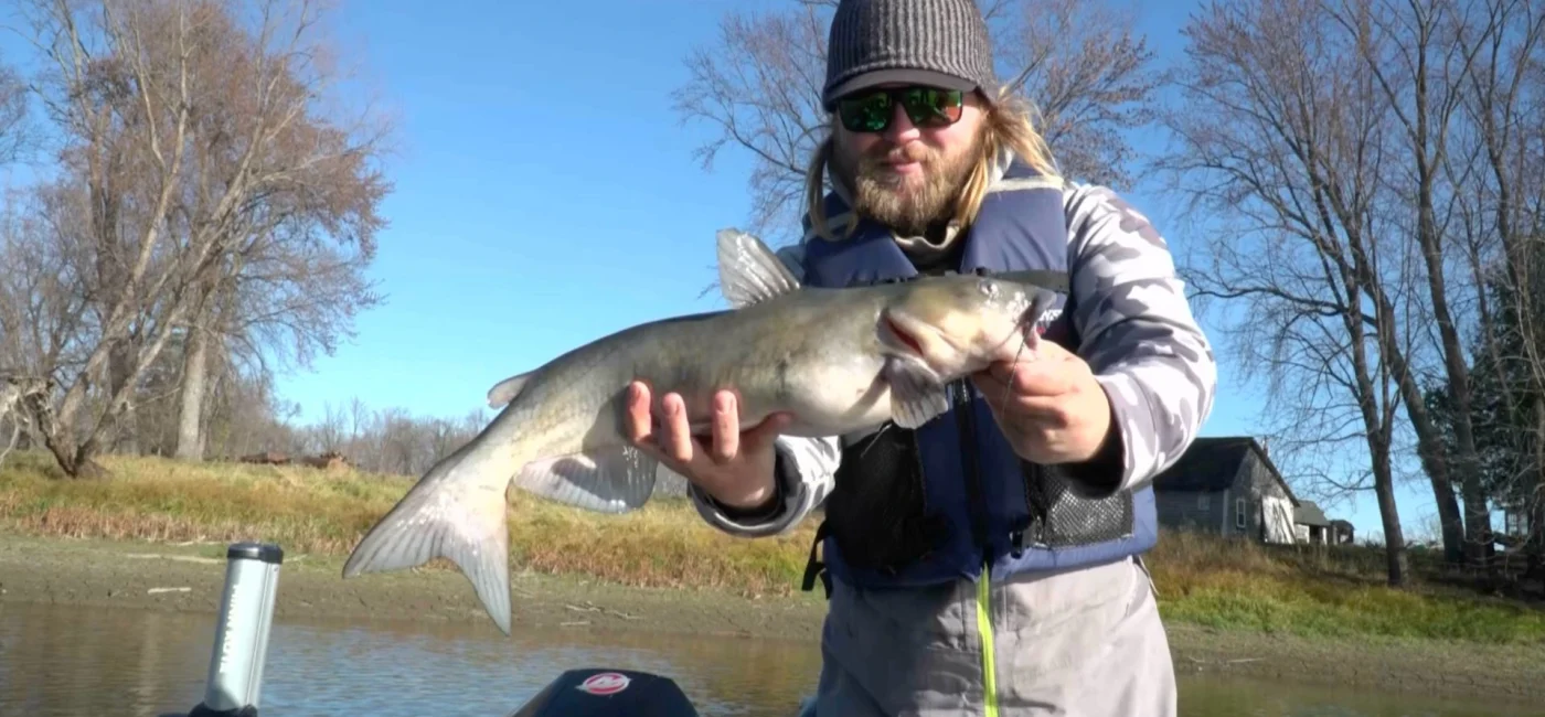 best catfish baits for fall fishing