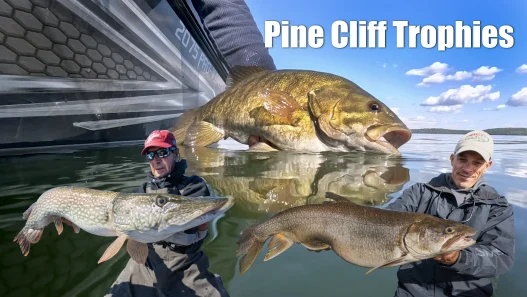 Pine Cliff