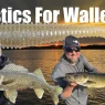 Walleyes on Plastics